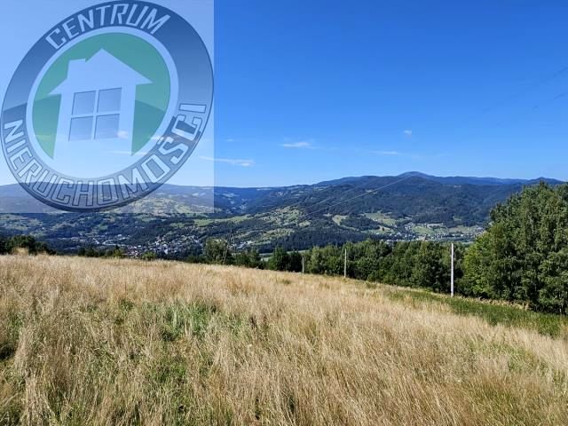 Działka budowlana piwniczna