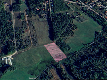 Zalesiona działka Niewodnica Kościelna