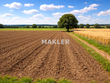 Działka rolna Dobrcz