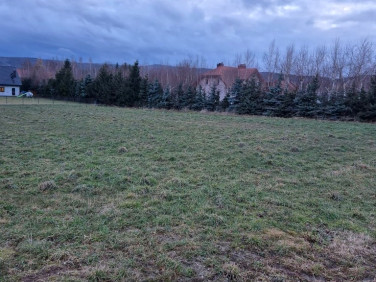 Działka budowlana Witoszów Dolny