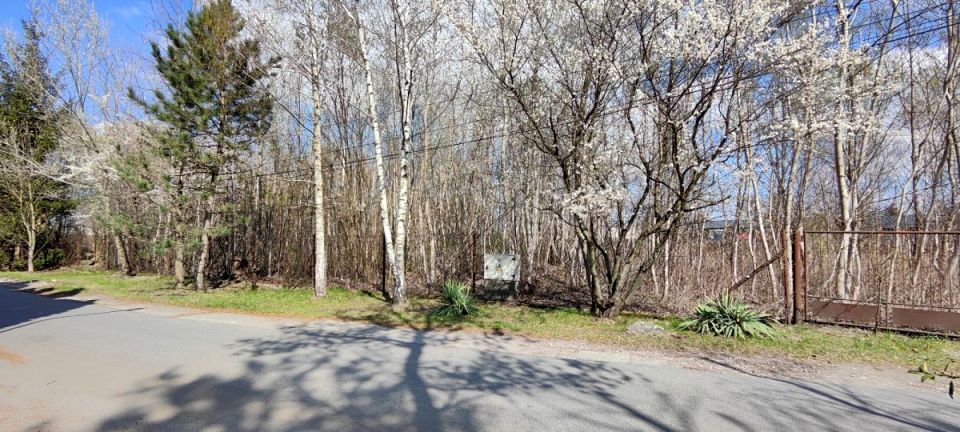 Działka usługowa Stara Iwiczna