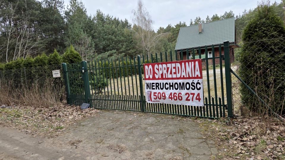 Zdjęcie 3