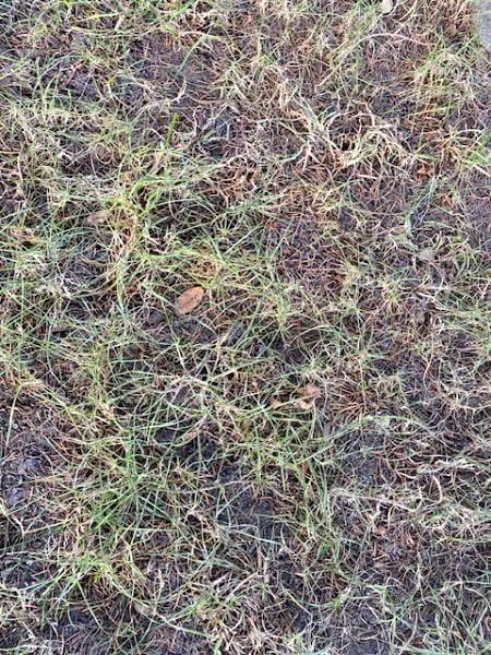 Działka budowlana Opole