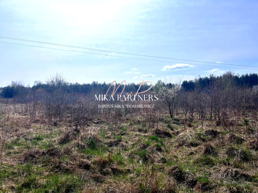 Działka przy lesie