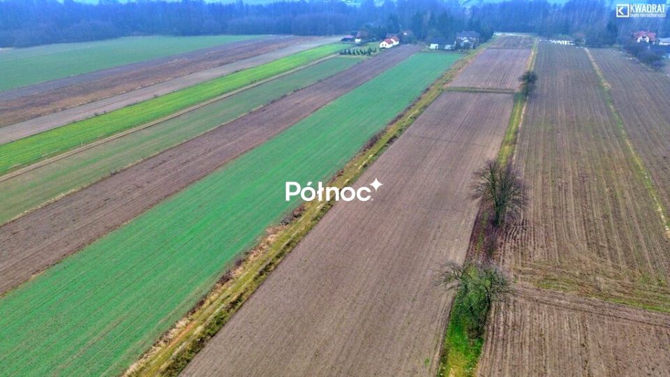 Zdjęcie 3