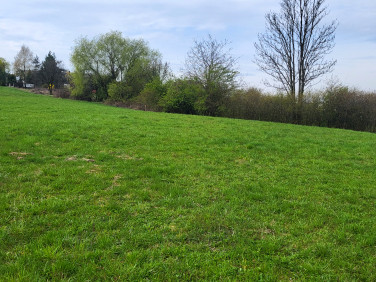 Działka budowlana Zamarski