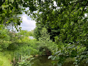 Działka siedliskowa Dąbrowa Wronowska