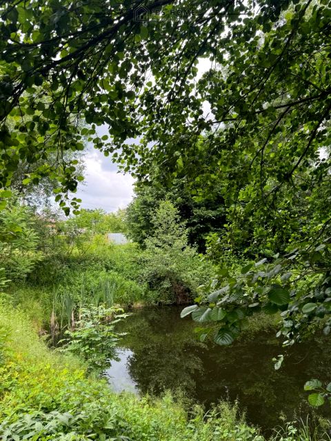 Działka siedliskowa Dąbrowa Wronowska