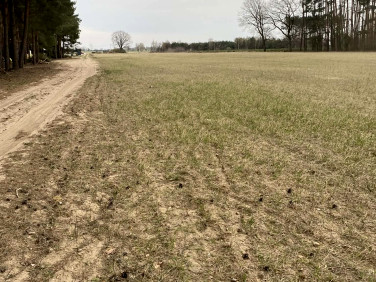 Działka budowlana Skrzynka