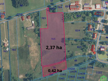 Działka inwestycyjna Ostrowina