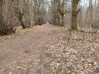 Działka leśna Młochów