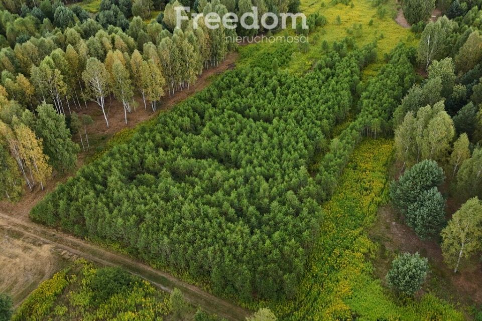 Działka rolna Wólka Mlęcka sprzedam