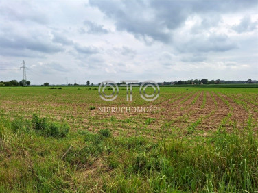 Działka budowlana Wyszogród