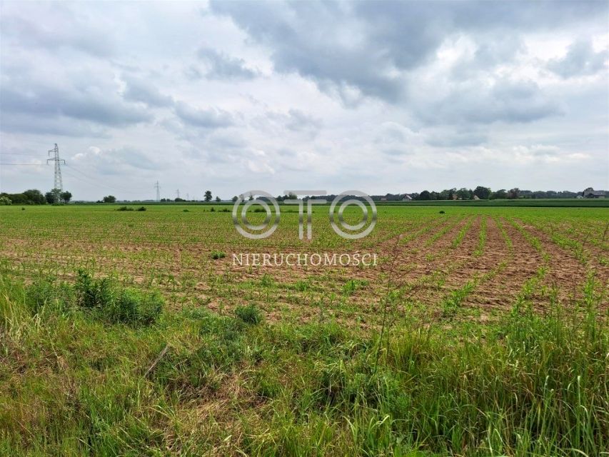 Działka budowlana Wyszogród