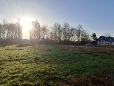 Działka Dziechciniec