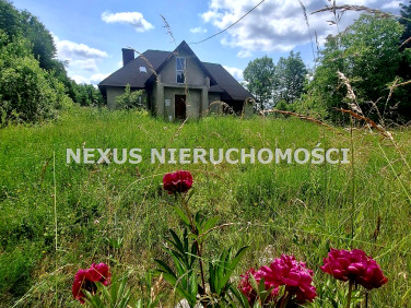 Działka Rokitno Szlacheckie