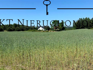 Działka inna Kielno