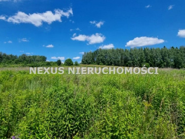 Działka Dąbrowa Górnicza