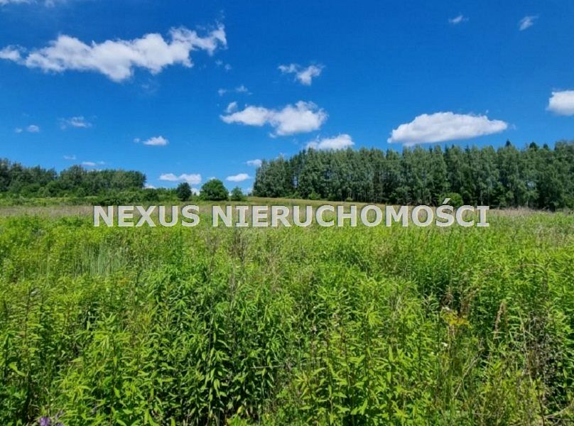 Działka Dąbrowa Górnicza