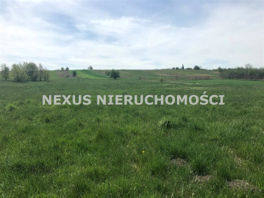 Pusta działka Dąbrowa Górnicza