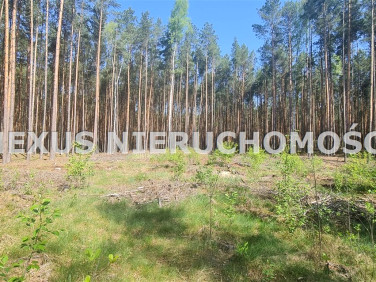 Pusta działka Dąbrowa Górnicza