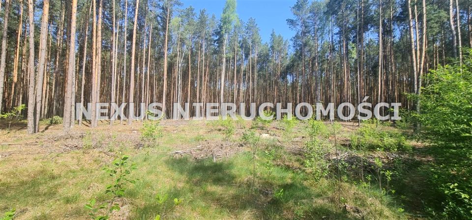 Pusta działka Dąbrowa Górnicza