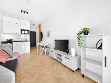 Lokal Szczecin