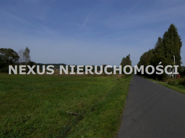 Pusta działka Grabowa