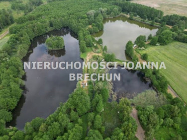 Działka rolna Pierstnica