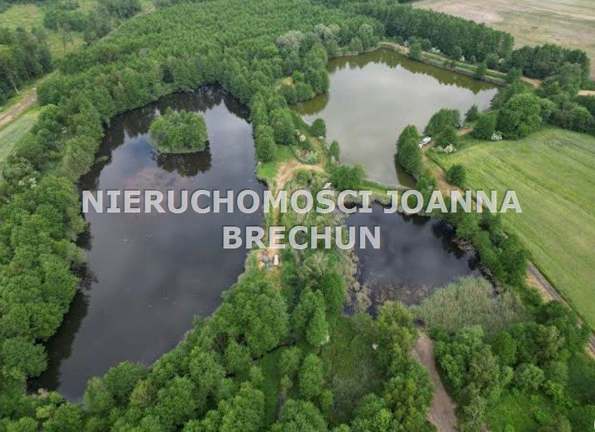 Działka rolna Pierstnica