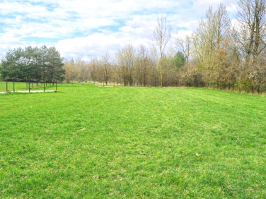 Działka inna Wierzbica