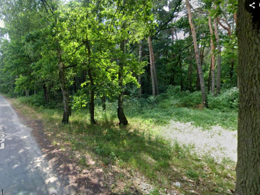 Działka budowlana Rakowiska