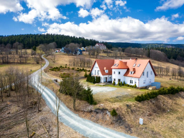 Lokal Duszniki-Zdrój