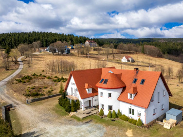 Lokal Duszniki-Zdrój