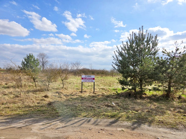 Działka budowlana Owieczki