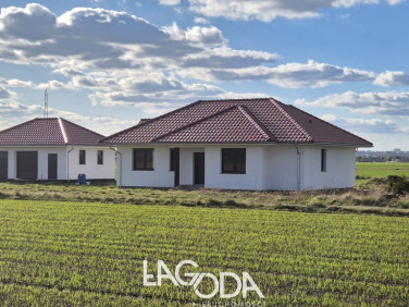 Dom Gorzów Wielkopolski