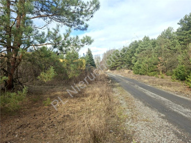 Działka budowlana Ludwinów