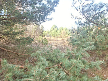 Działka budowlana Ludwinów sprzedam