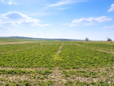 Działka inwestycyjna Czerniejów
