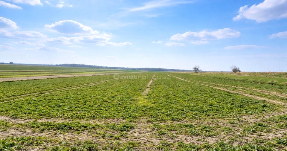 Działka inwestycyjna Czerniejów