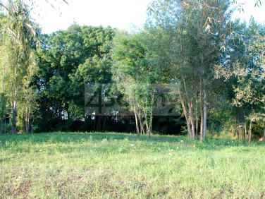 Działka budowlana Reguły