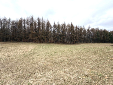 Działka rolna Łąkie