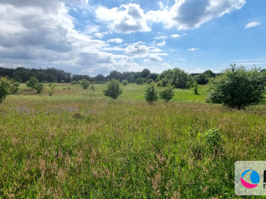 Działka budowlana Salinko