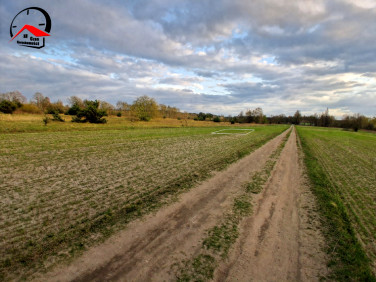 Działka budowlana Konin