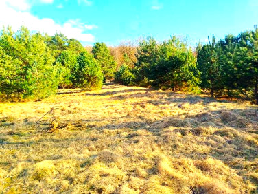 Działka budowlana sprzedam