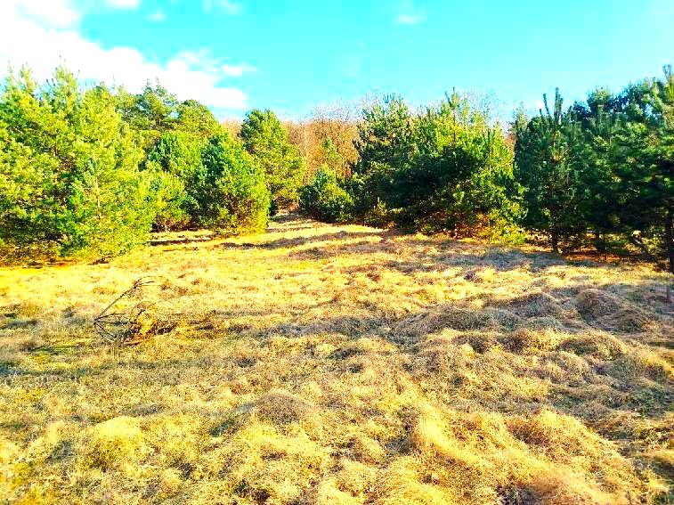 Działka budowlana sprzedam