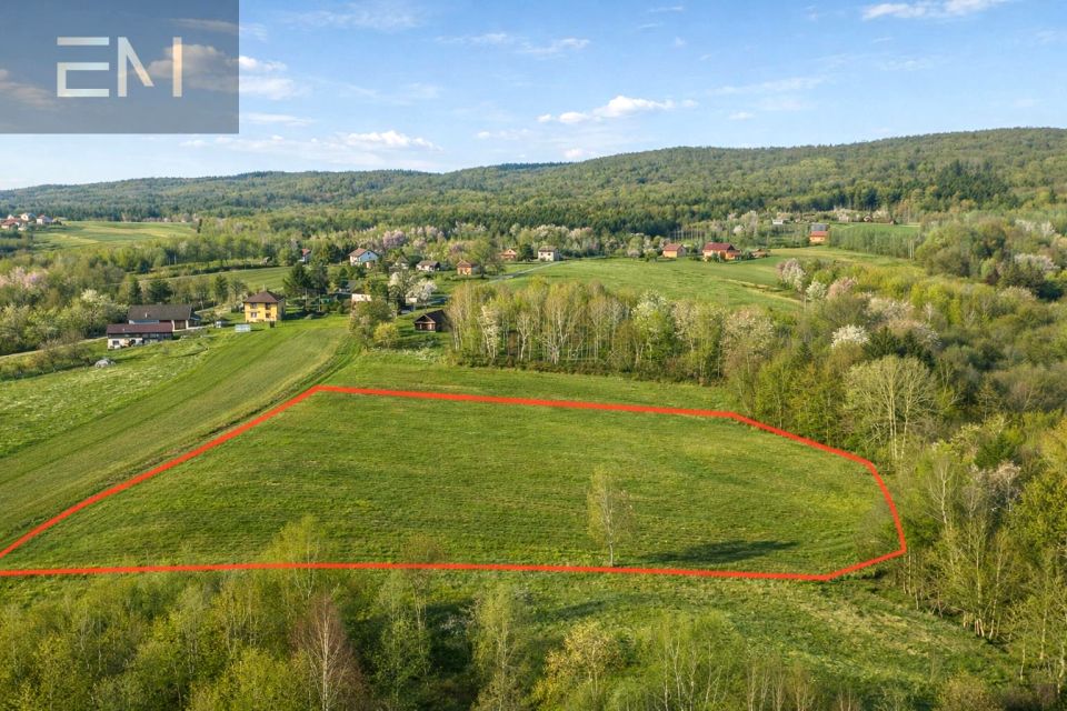 Działka Huta Gogołowska