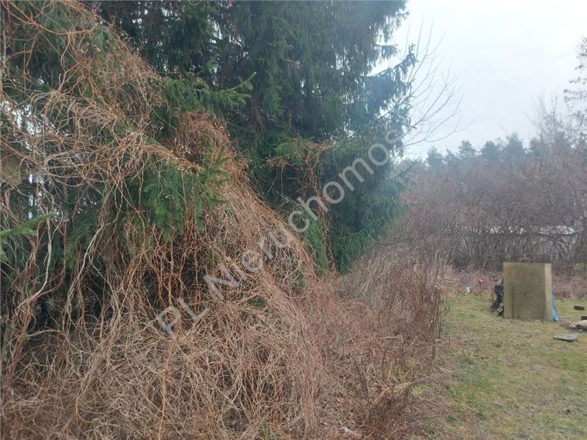 Działka budowlana Kobyłka sprzedam