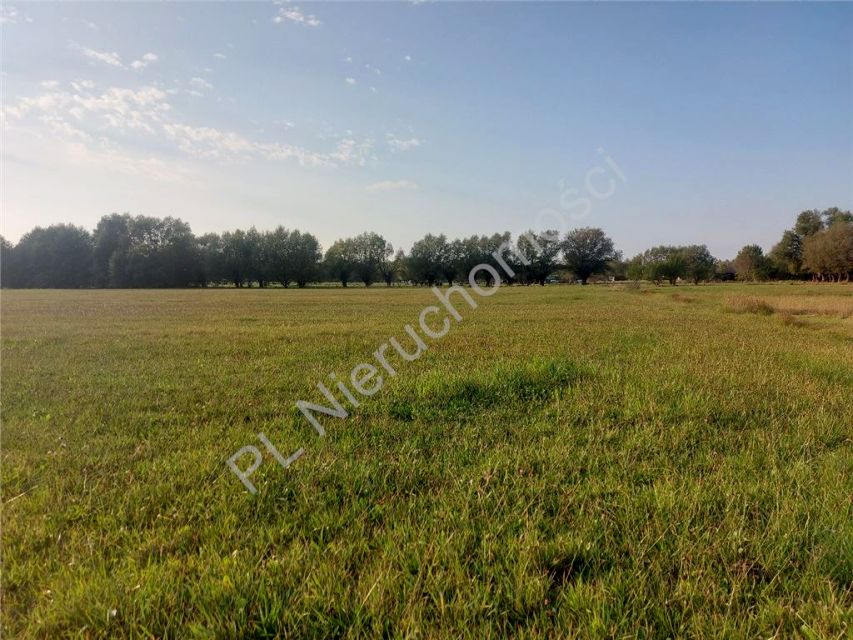 Działka budowlana Choiny