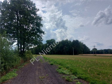 Działka budowlana Białki